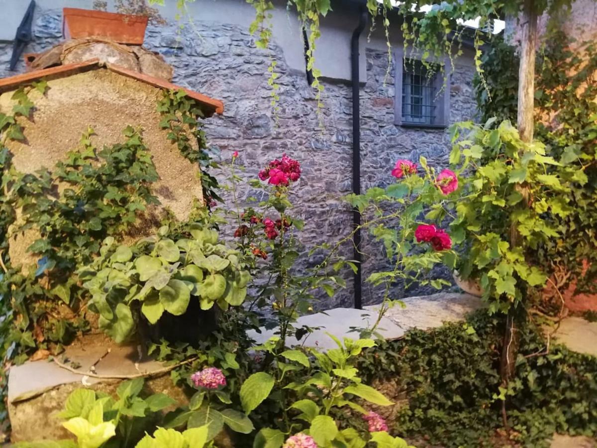Casale Maria Mafalda Pieve di Teco Exterior photo